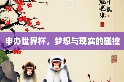 申办世界杯，梦想与现实的碰撞