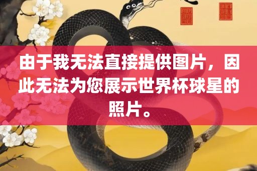 由于我无法直接提供图片，因此无法为您展示世界杯球星的照片。
