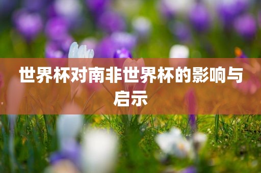 世界杯对南非世界杯的影响与启示