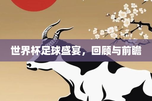 世界杯足球盛宴，回顾与前瞻