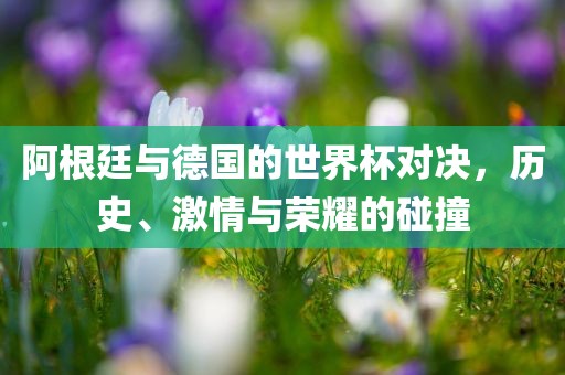 阿根廷与德国的世界杯对决，历史、激情与荣耀的碰撞
