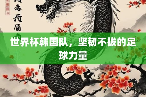 世界杯韩国队，坚韧不拔的足球力量