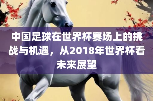 中国足球在世界杯赛场上的挑战与机遇，从2018年世界杯看未来展望
