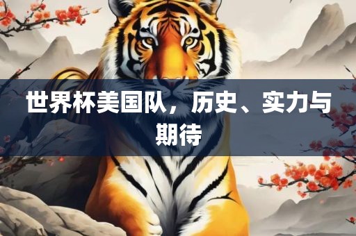 世界杯美国队，历史、实力与期待