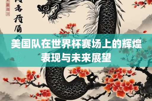 美国队在世界杯赛场上的辉煌表现与未来展望