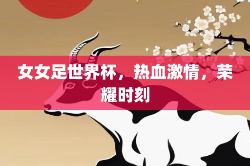 女女足世界杯，热血激情，荣耀时刻漯河市盈旭机械设备有限公司