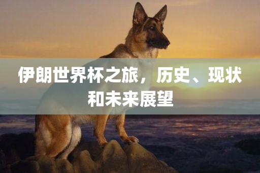 伊朗世界杯之旅，历史、现状和未来展望