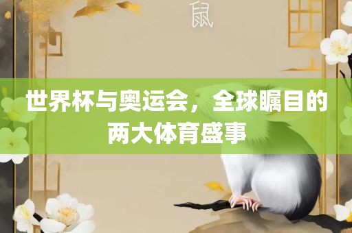 世界杯与奥运会，全球瞩目的两大体育盛事