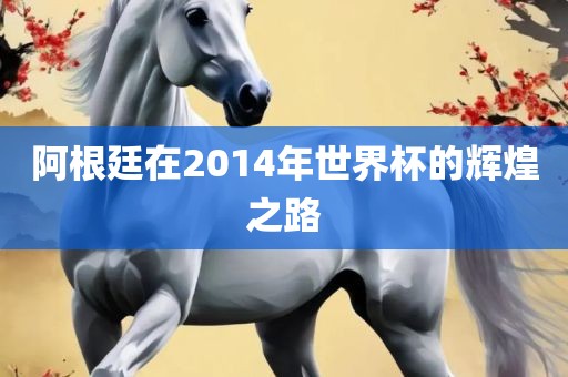 阿根廷在2014年世界杯的辉煌之路