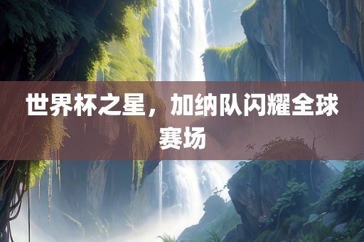 世界杯之星，加纳队闪耀全球赛场