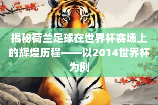 揭秘荷兰足球在世界杯赛场上的辉煌历程——以2014世界杯为例漯河市盈旭机械设备有限公司
