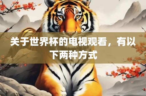 关于世界杯的电视观看，有以下两种方式
