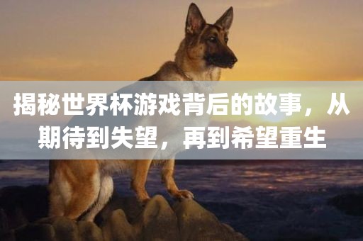 揭秘世界杯游戏背后的故事，从期待到失望，再到希望重生