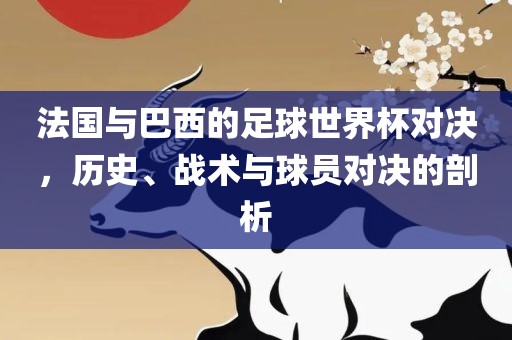 法国与巴西漯河市盈旭机械设备有限公司的足球世界杯对决，历史、战术与球员对决的剖析