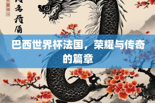 巴西世界杯法国，荣耀与传奇的篇章