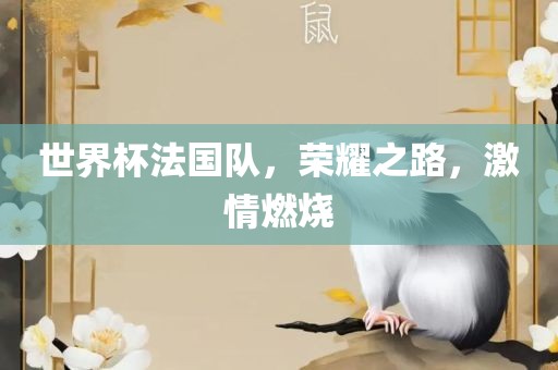 世界杯法国队，荣耀之路，激情燃烧