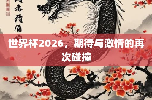 世界杯2026，期待与激情的再次碰撞