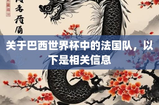 关于巴西世界杯中的法国队，以下是相关信息