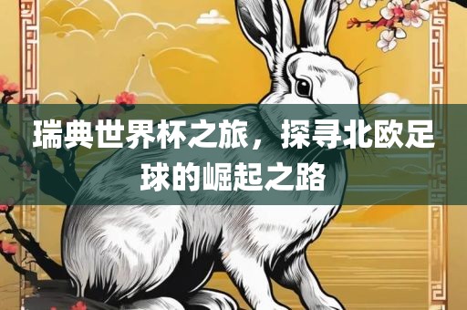 瑞典世界杯之旅，探寻北欧足球的崛起之路