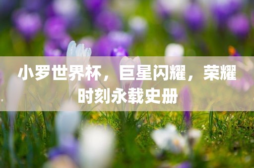 小罗世界杯，巨星闪耀，荣耀时刻永载史册