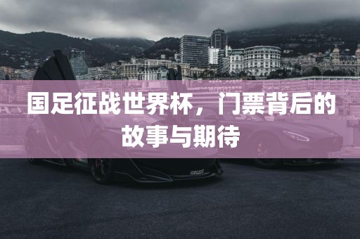 国足征战世界杯，门票背后的故事与期待