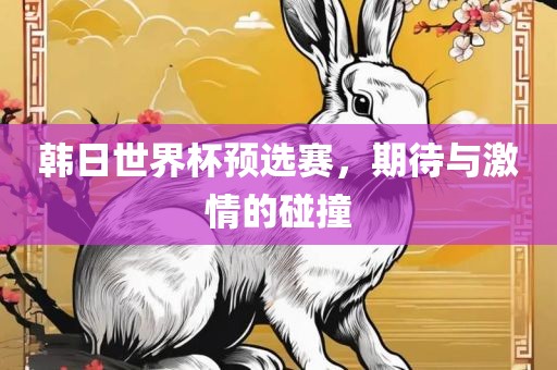 韩日世界杯预选赛，期待与激情的碰撞