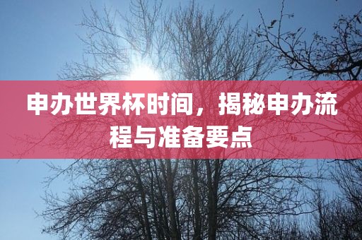 申办世界杯时间，揭秘申办流程与准备要点