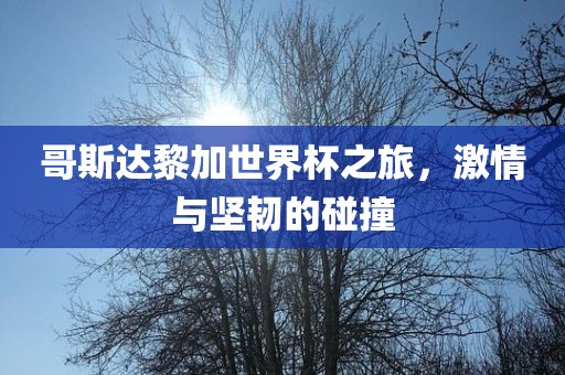 哥斯达黎加世界杯之旅，激情与坚韧的碰撞