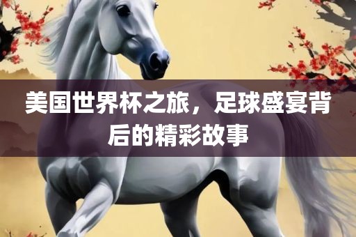 美国世界杯之旅，足球盛宴背后的精彩故事