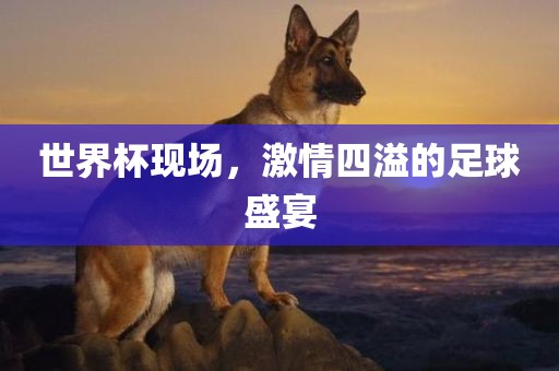 世界杯现场，激情四溢的足球盛宴
