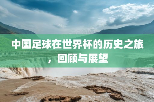 中国足球在世界杯的历史之旅，回顾与展望