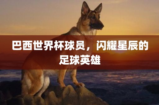 巴西世界杯球员，闪耀星辰的足球英雄