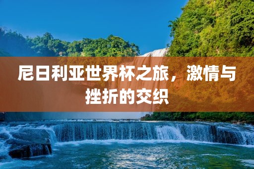 尼日利亚世界杯之旅，激情与挫折的交织
