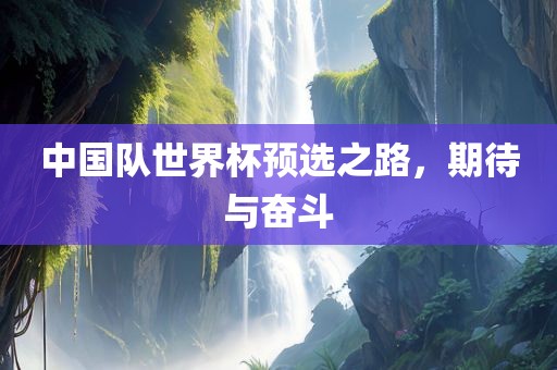 中国队世界杯预选之路，期待与奋斗