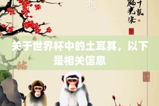 关于世界杯中的土耳其，以下是相关信息