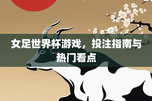 女足世界杯游戏，投注指南与热门看点