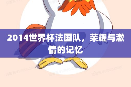 2014世界杯法国队，荣耀与激情的记忆