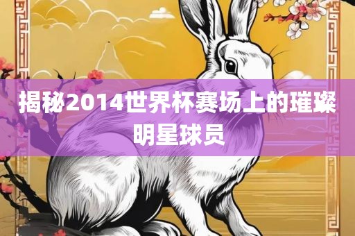 揭秘2014世界杯赛场上的璀璨明星球员