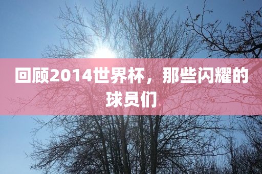 回顾2014世界杯，那些闪耀的球员们