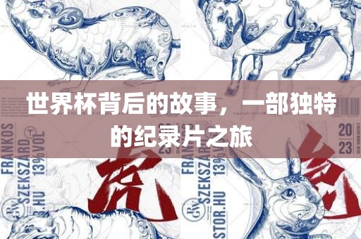 世界杯背后的故事，一部独特的纪录片之旅