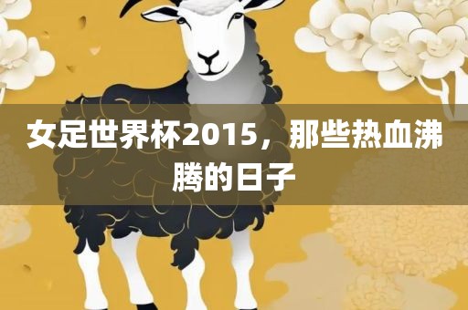 女足世界杯2015，那些热血沸腾的日子