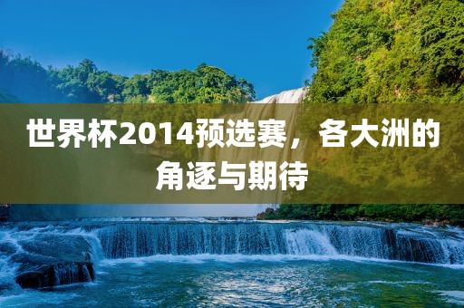 世界杯2014预选赛，各大洲的角逐与期待