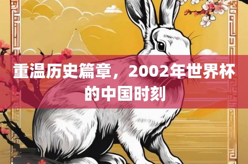 重温历史篇章，2002年世界杯的中国时刻