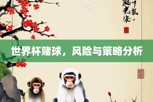 世界杯赌球，风险与策略分析