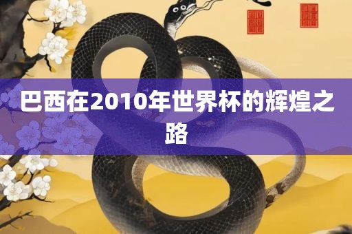 巴西在2010年世界杯的辉煌之路
