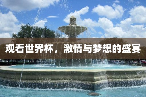 观看世界杯，激情与梦想的盛宴