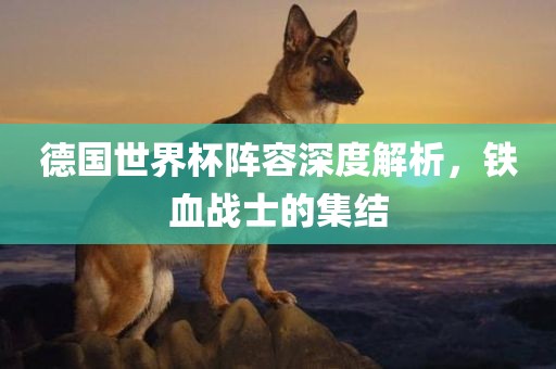 德国世界杯阵容深度解析，铁血战士的集结
