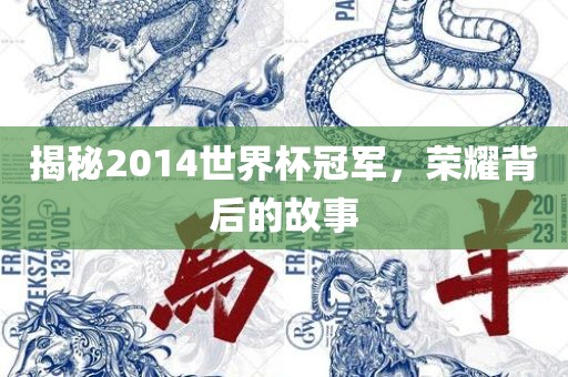 揭秘2014世界杯冠军，荣耀背后的故事