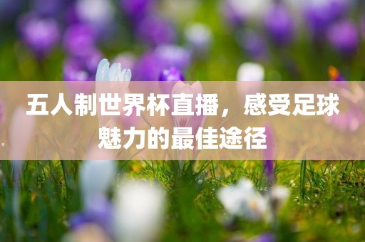 五人制世界杯直播，感受足球魅力的最佳途径