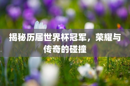 揭秘历届世界杯冠军，荣耀与传奇的碰撞